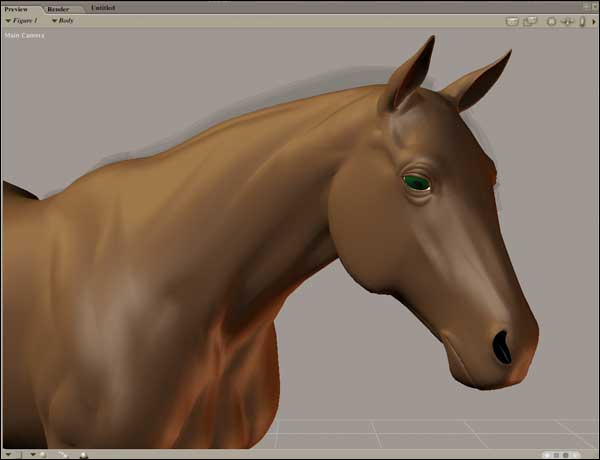horse's facial expression