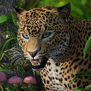 HiveWire Big Cat