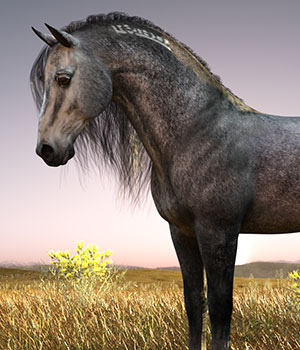  CWRW Greys and Rosy Greys for the HW Horse