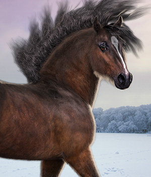 CWRW LAMH: HW Horse and Foal