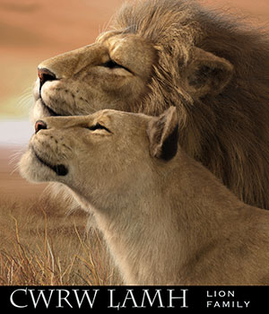 CWRW LAMH: HW Lion Family